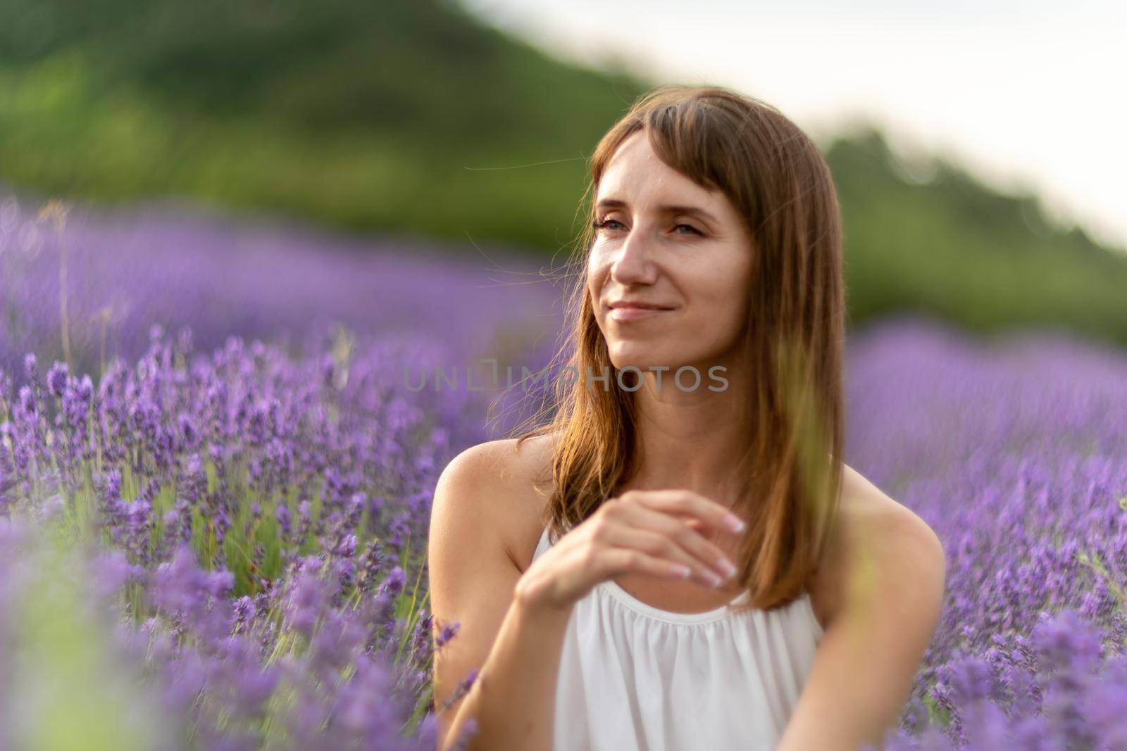 Lavender flower blooming scented fields in endless rows. Selective focus on Bushes of lavender purple aromatic flowers at lavender field. Abstract blur for background.