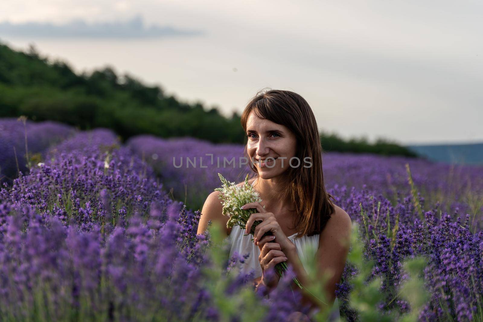 Lavender flower blooming scented fields in endless rows. Selective focus on Bushes of lavender purple aromatic flowers at lavender field. Abstract blur for background.