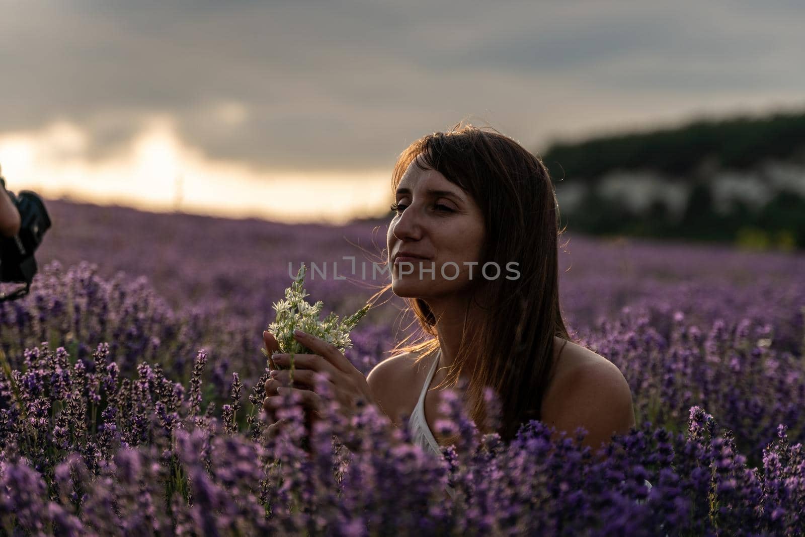 Lavender flower blooming scented fields in endless rows. Selective focus on Bushes of lavender purple aromatic flowers at lavender field. Abstract blur for background.