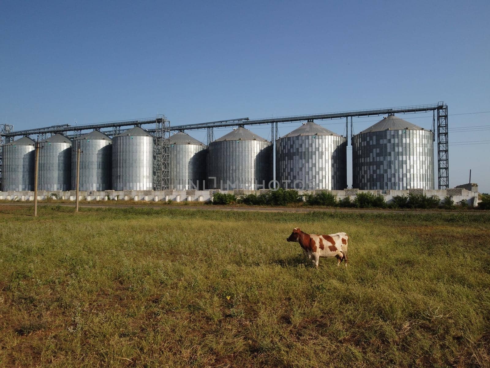 Grain elevator. Metal grain elevator in agricultural zone. Agriculture storage for harvest. Grain elevators on green nature background. Exterior of agricultural factory