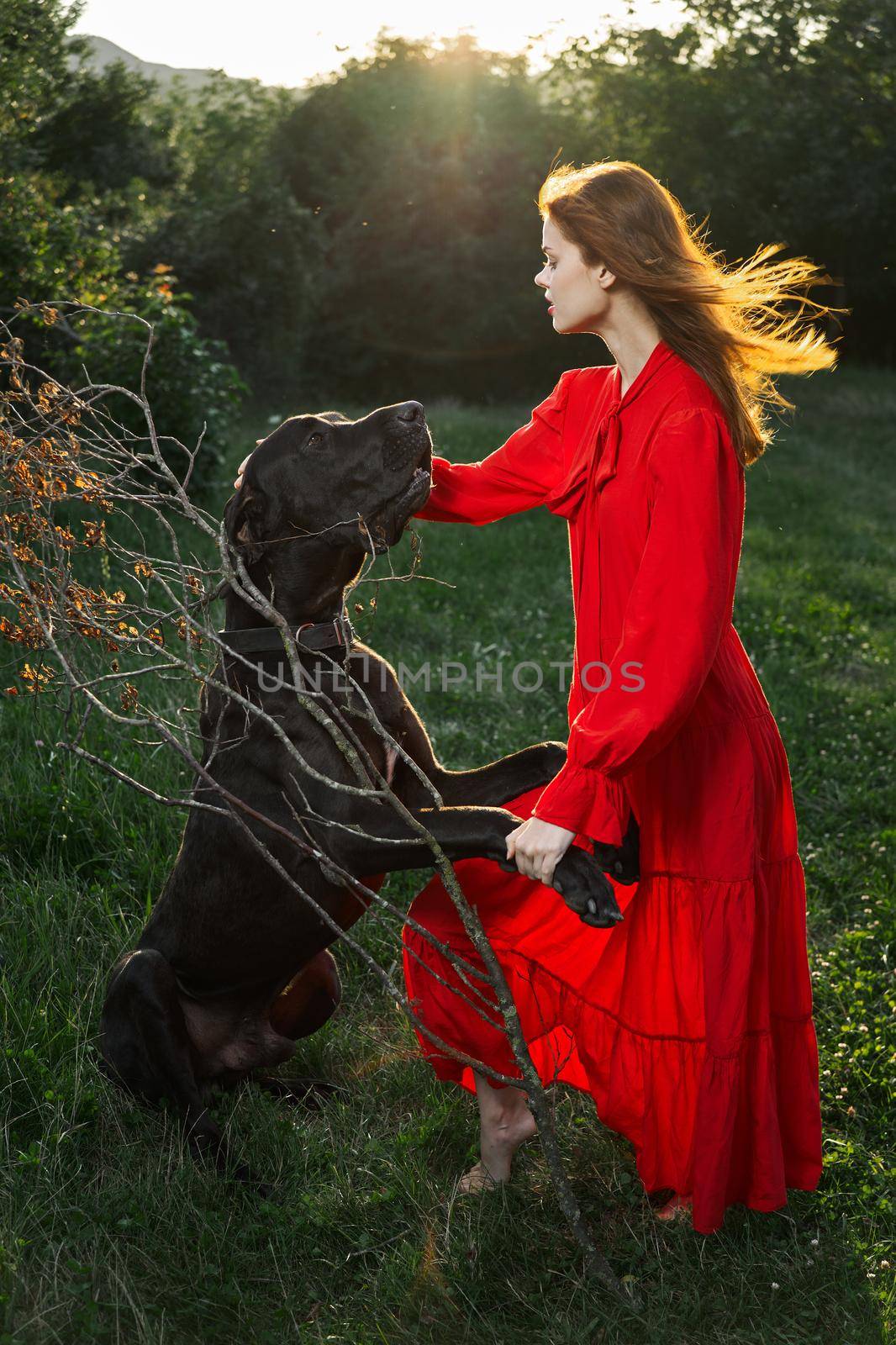 woman in a red dress in a field with a black dog Friendship fun by Vichizh