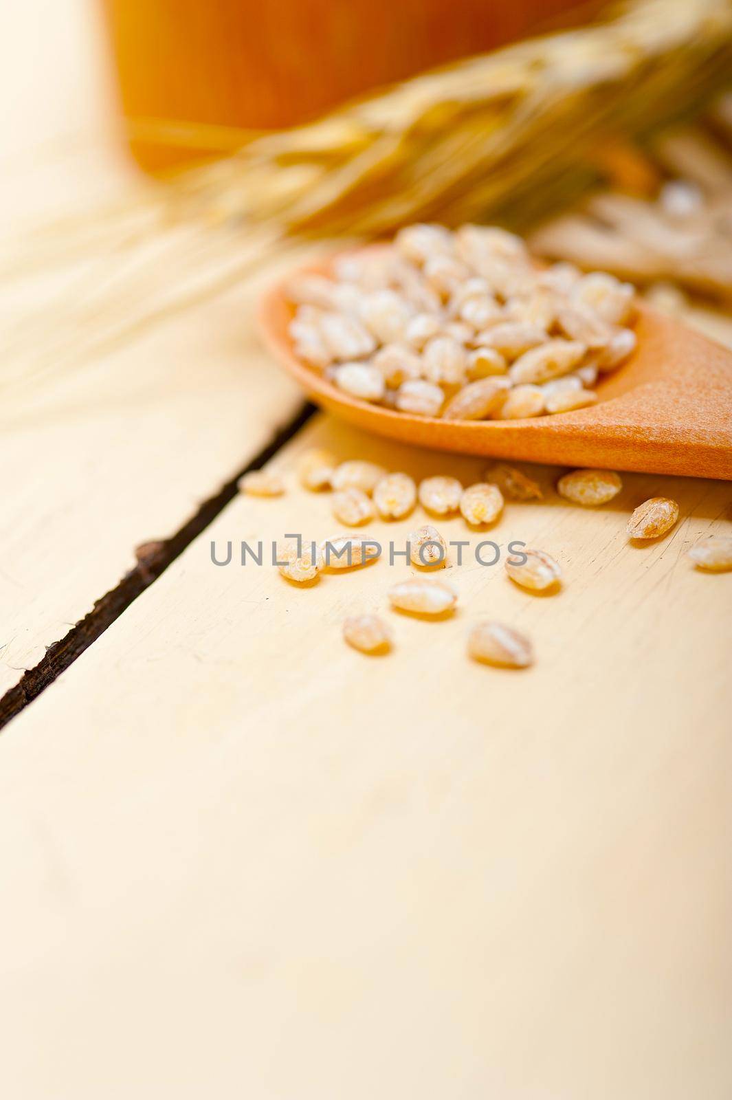 organic wheat grains  by keko64