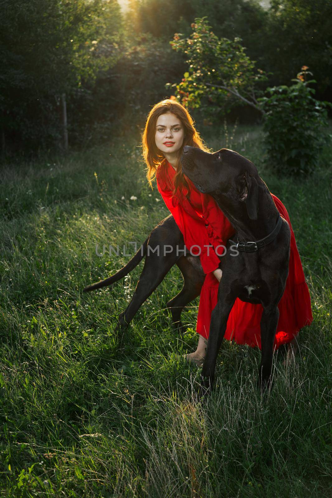 woman in a red dress in a field with a black dog Friendship fun. High quality photo