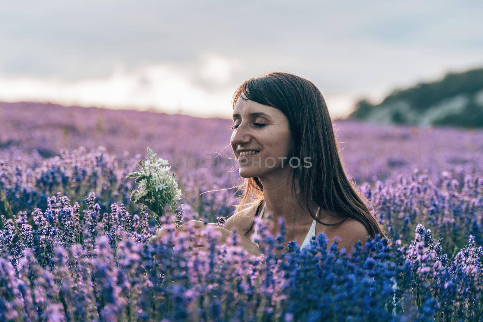 Lavender flower blooming scented fields in endless rows. Selective focus on Bushes of lavender purple aromatic flowers at lavender field. Abstract blur for background.