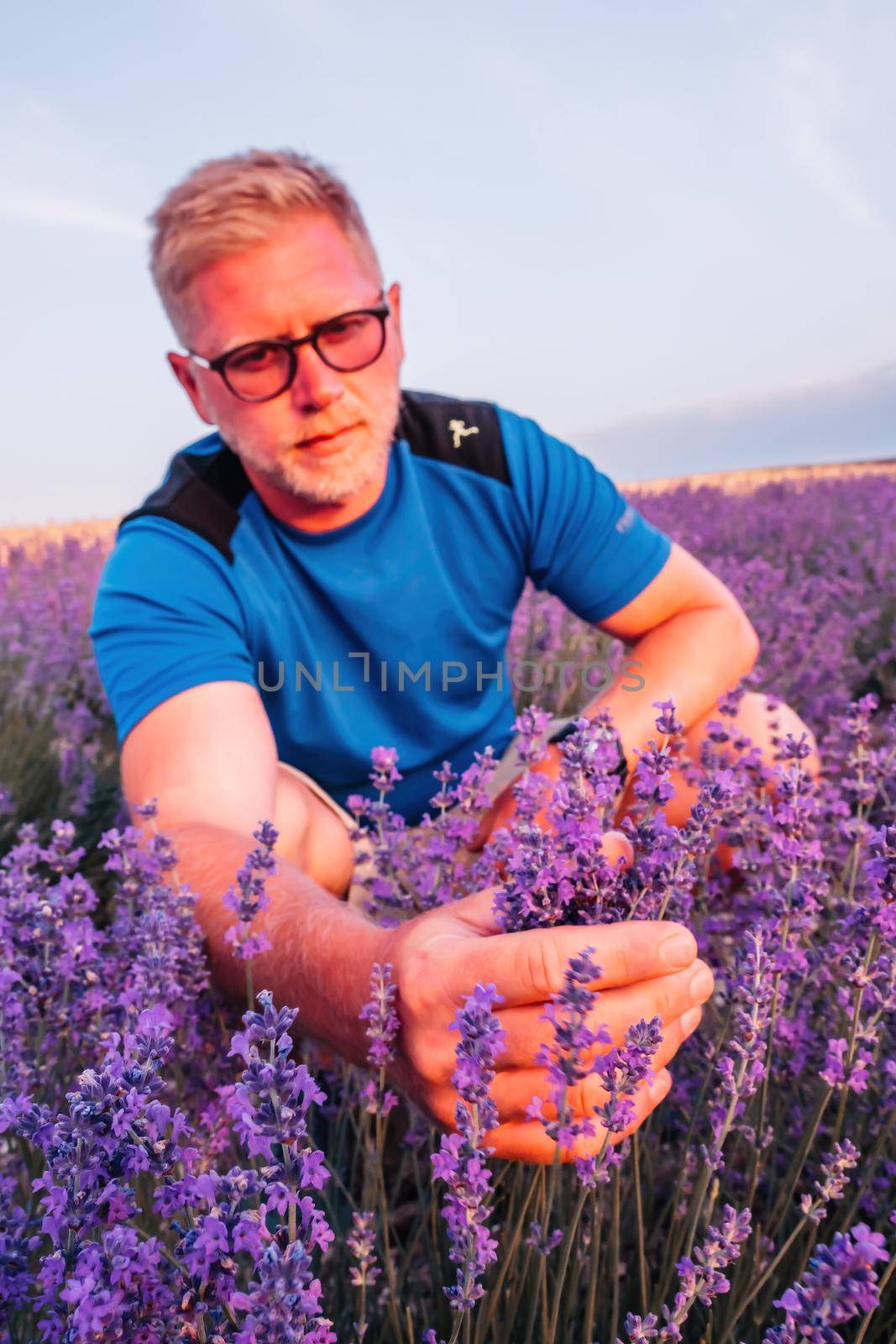 Close up portrait of happy young man in blue t-shirt and glasses on blooming lavender fields with endless rows. Warm sunset light. Bushes of lavender purple aromatic flowers on lavender fields by panophotograph