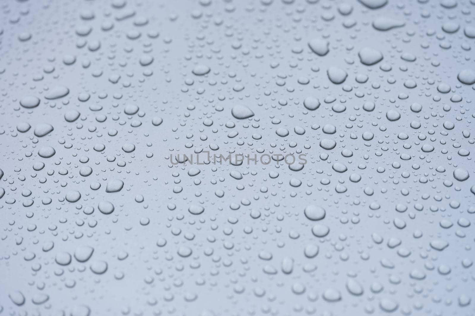 Condensation drops on a gray background, rain by kuprevich