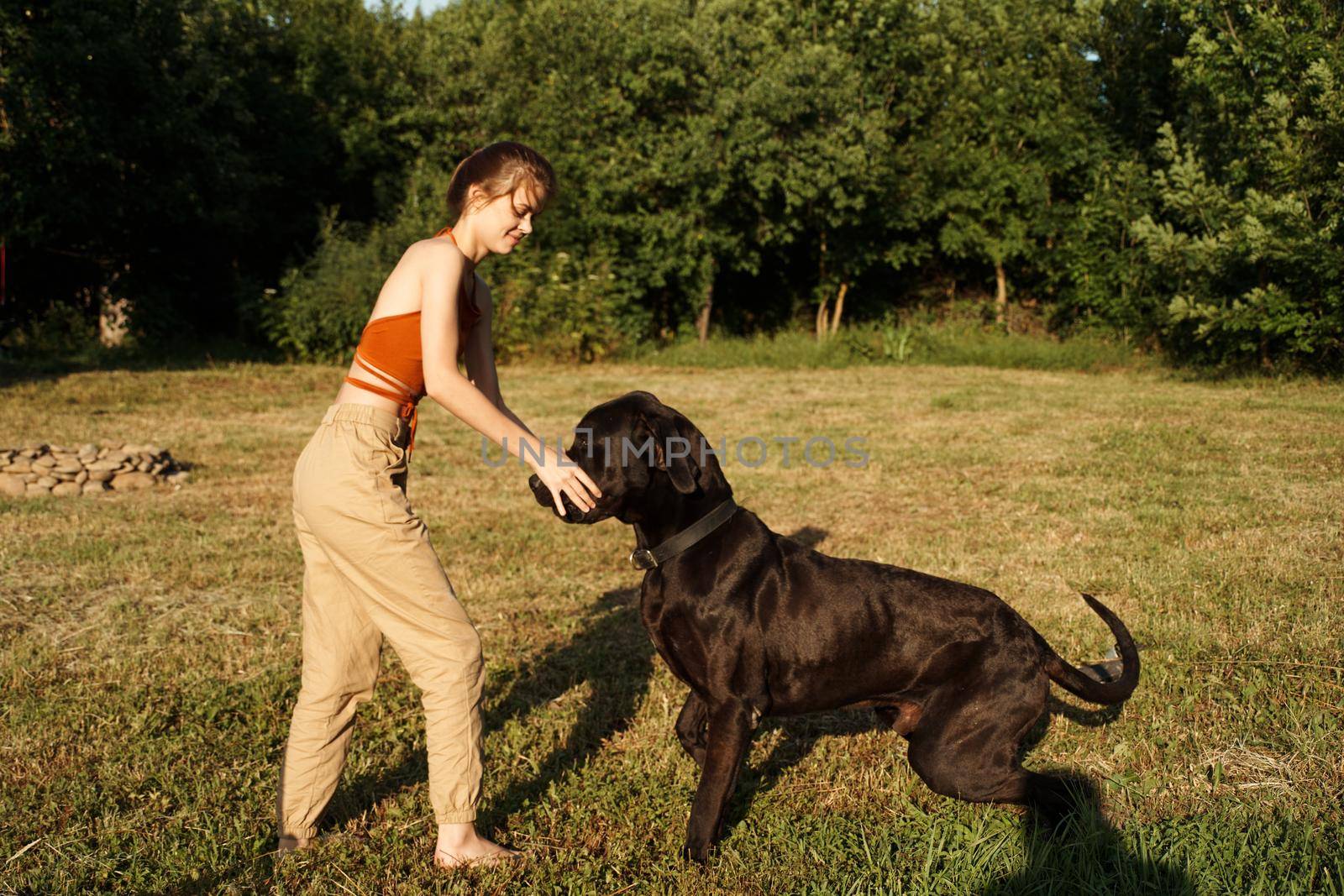 cheerful woman playing dog outdoors in the field of friendship by Vichizh