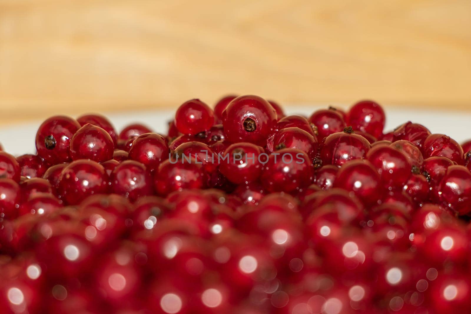 Red currant close up juicy and fresh by Mindru