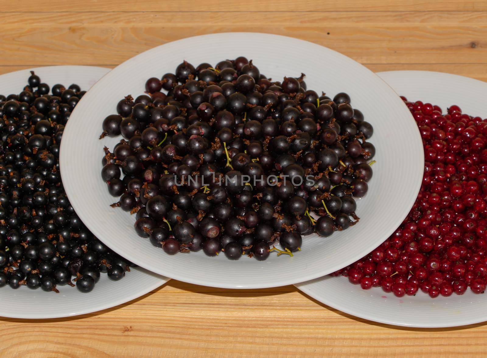 Red and black currant in the plates by Mindru