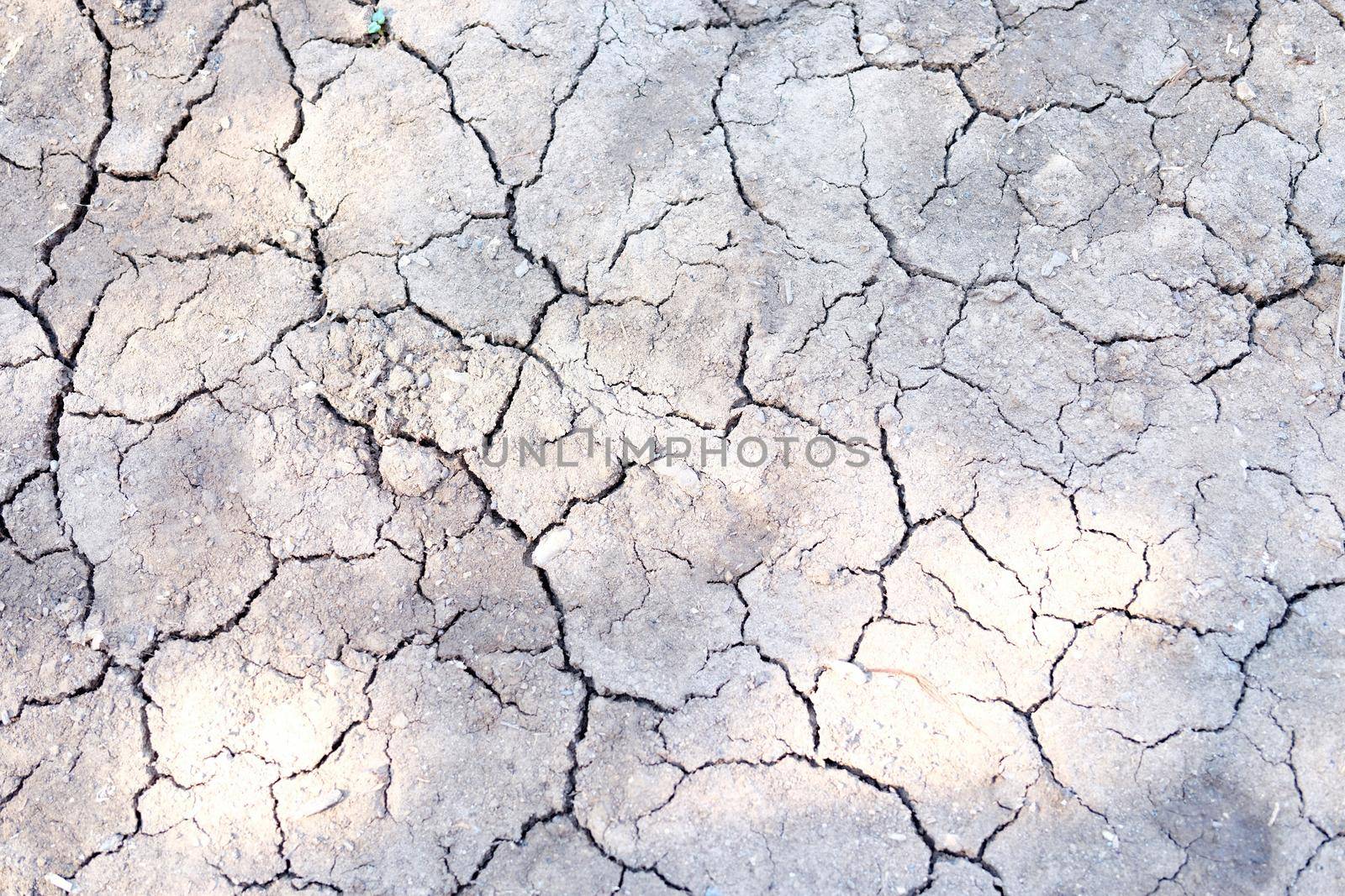 Cracked dry gray earth, close-up of soil erosion. Environmental disaster, drought and crop failure. Environment, hot air