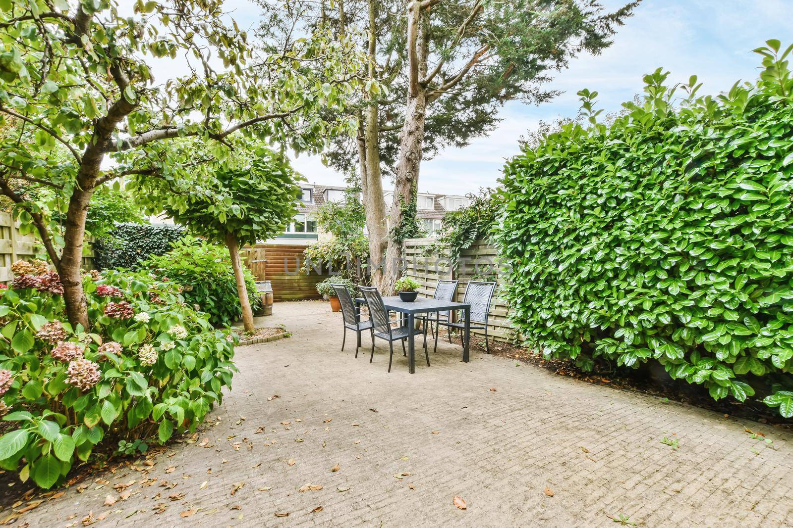 Attractive courtyard of the house with lots of greenery