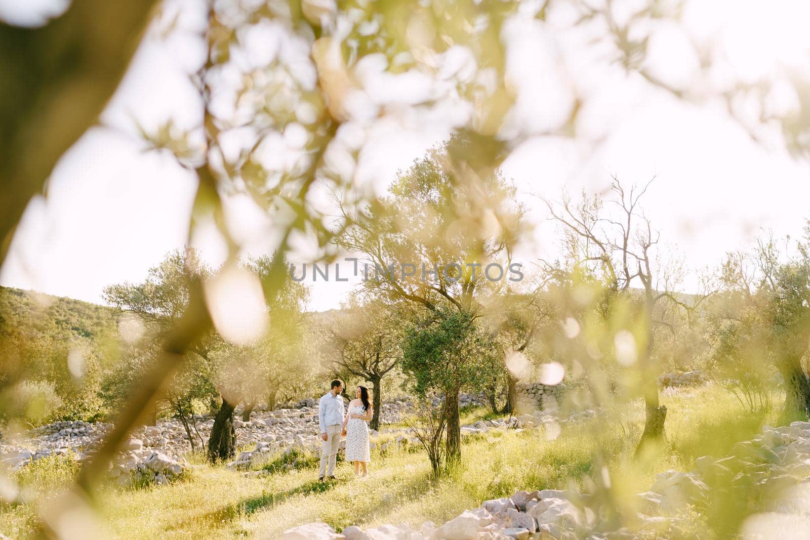 Man with a pregnant woman stand near stones in a green olive grove by Nadtochiy