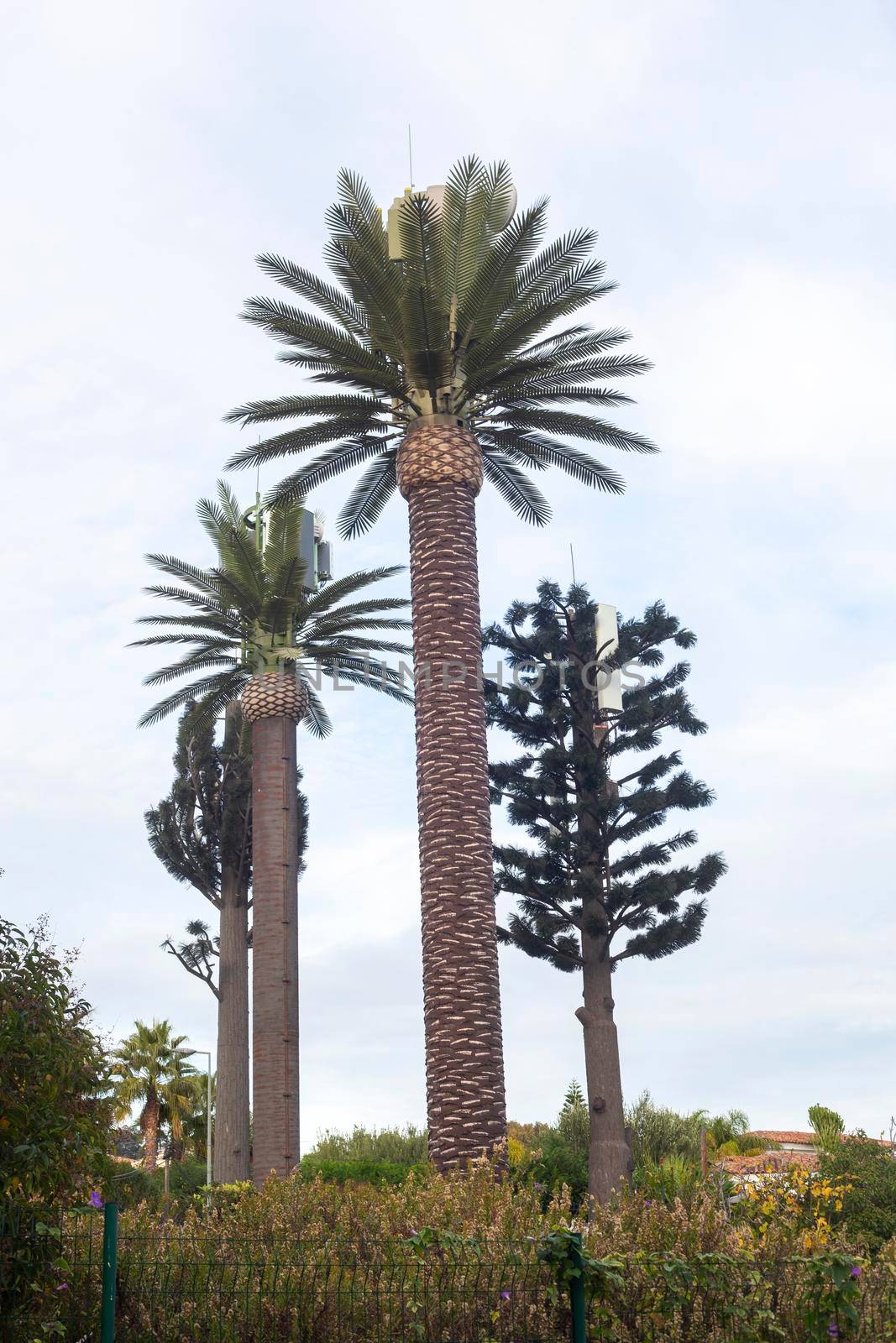 recievers and transmitters imitating palm trees