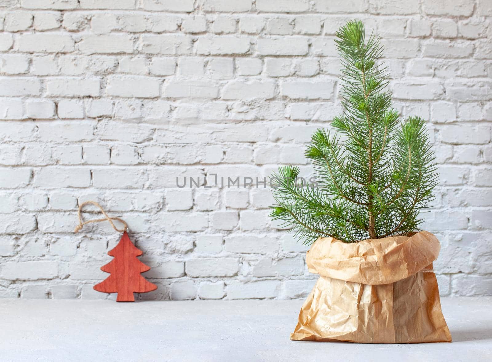 mini Christmas tree in a craft paper bag on the brickwall background, zero waste concept