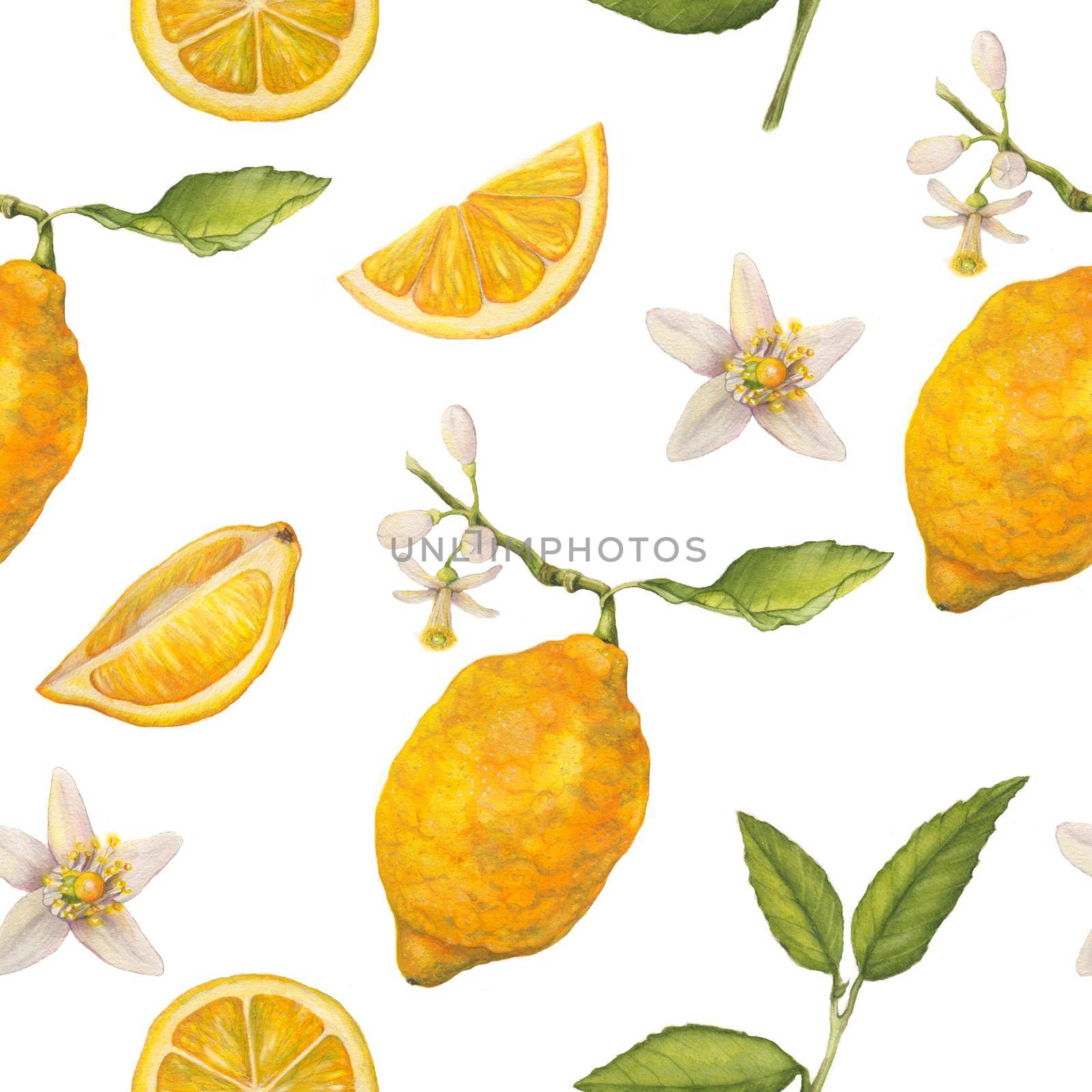 Lemons watercolor seamless pattern. Botanical wallpaper hand drawing. Drawn lemons vintage wallpaper. Lemons, flowers, blooming garden. Design for fabric, textile, paper, etc.