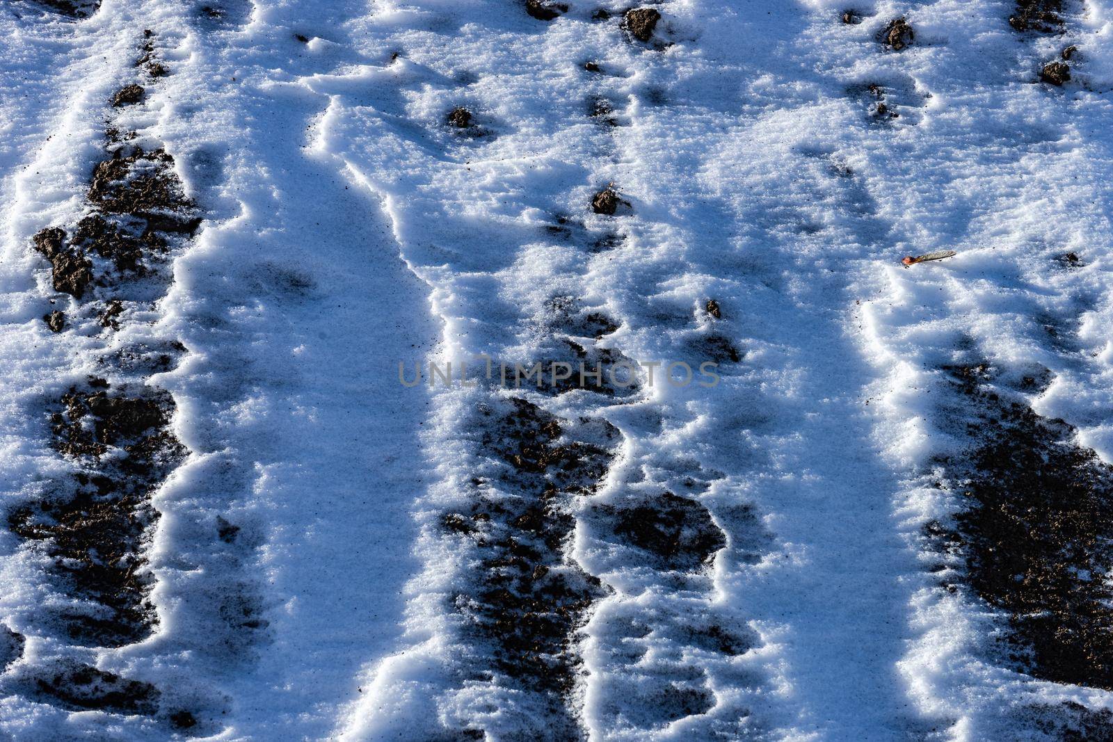 Slopes of mountain with cable road in ski resort of Bakuriani in Caucasus mountain range of Georgia