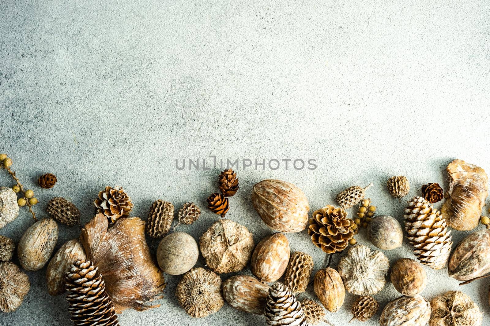 Seasonal frame made with variety of nuts on concrete background