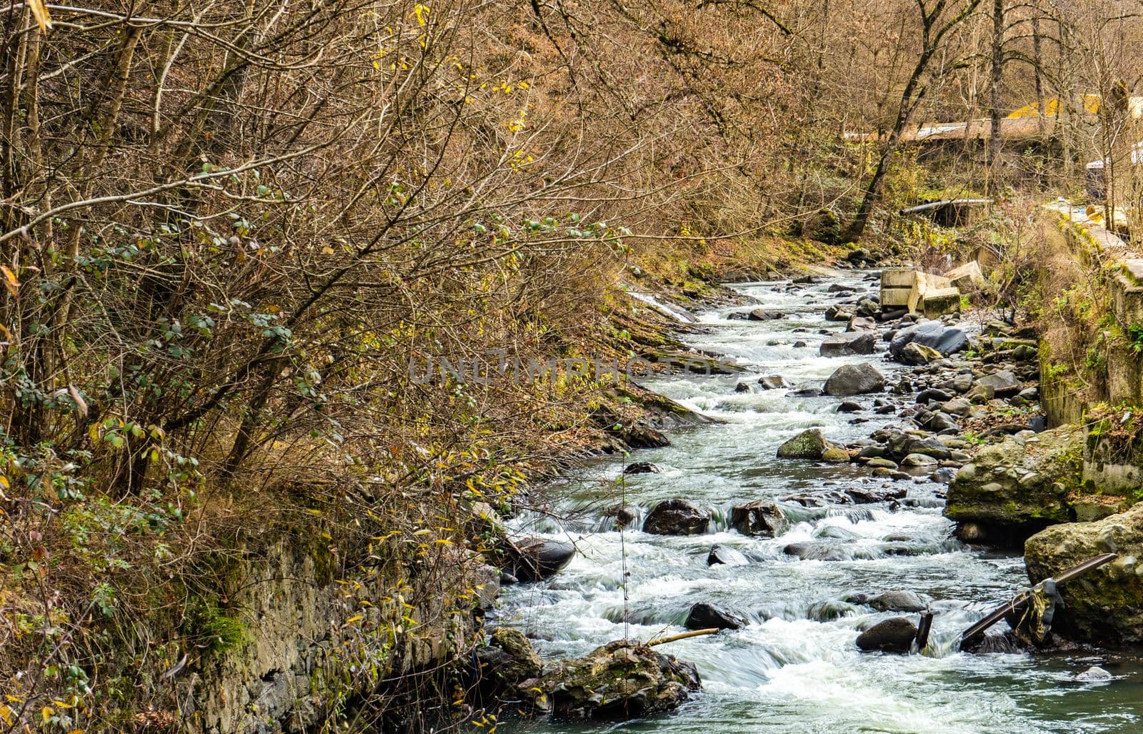 Famous park in city-resort with mineral water springs Borjomi in the mountains of Georgia