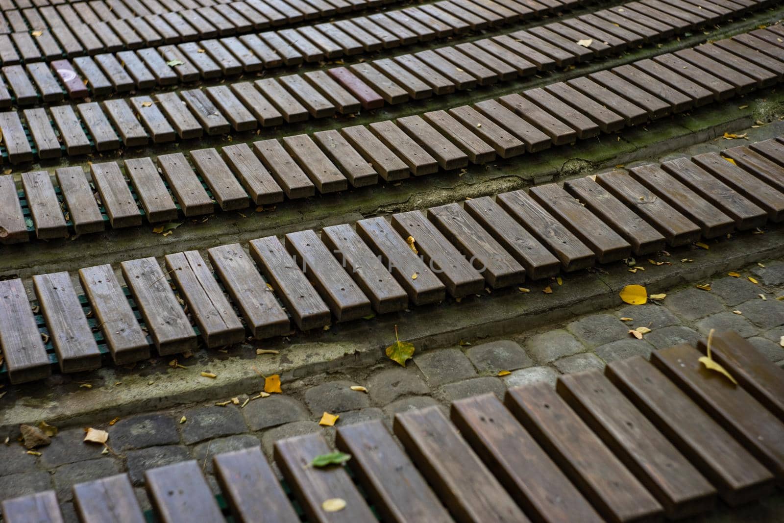 Autumnal park bench with yellow leaves