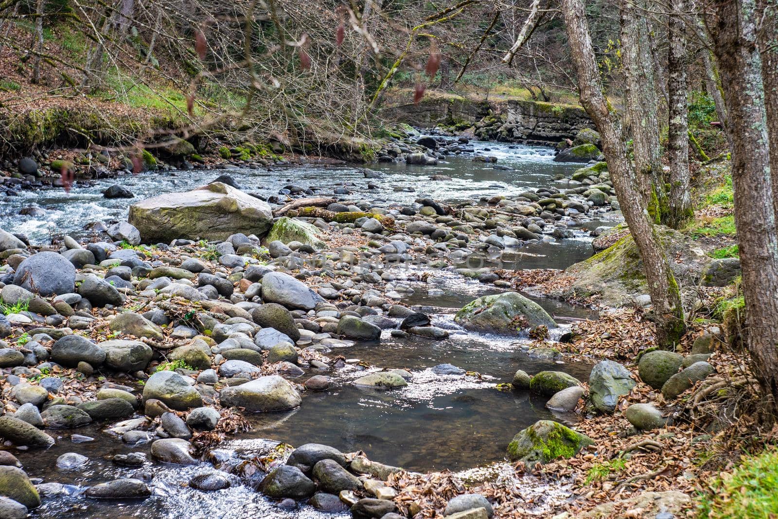 Famous park in city-resort with mineral water springs Borjomi in the mountains of Georgia