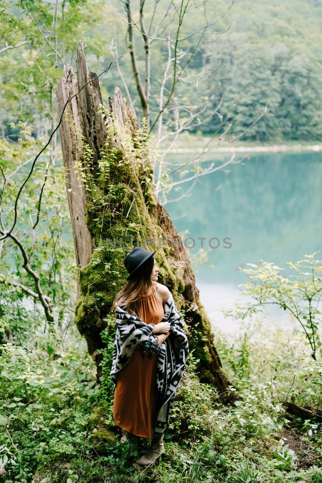 Woman stand near a tree overgrown with moss by the lake. High quality photo