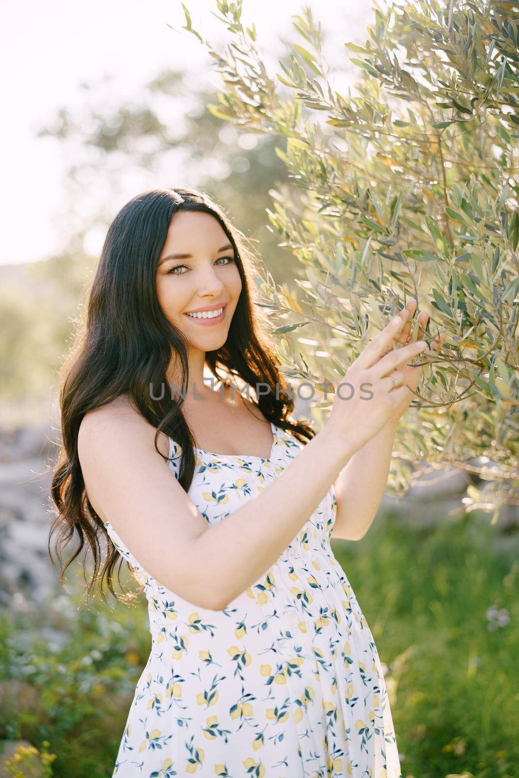 Pregnant woman holding an olive tree branch with her hands by Nadtochiy