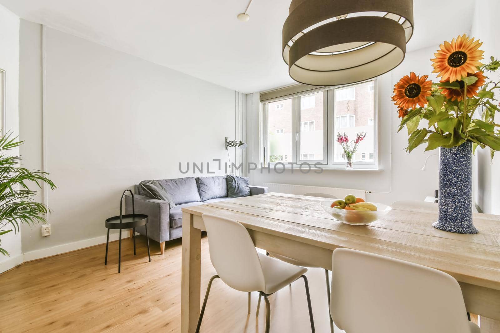 Elegantly combined living room with dining area in a minimalist style