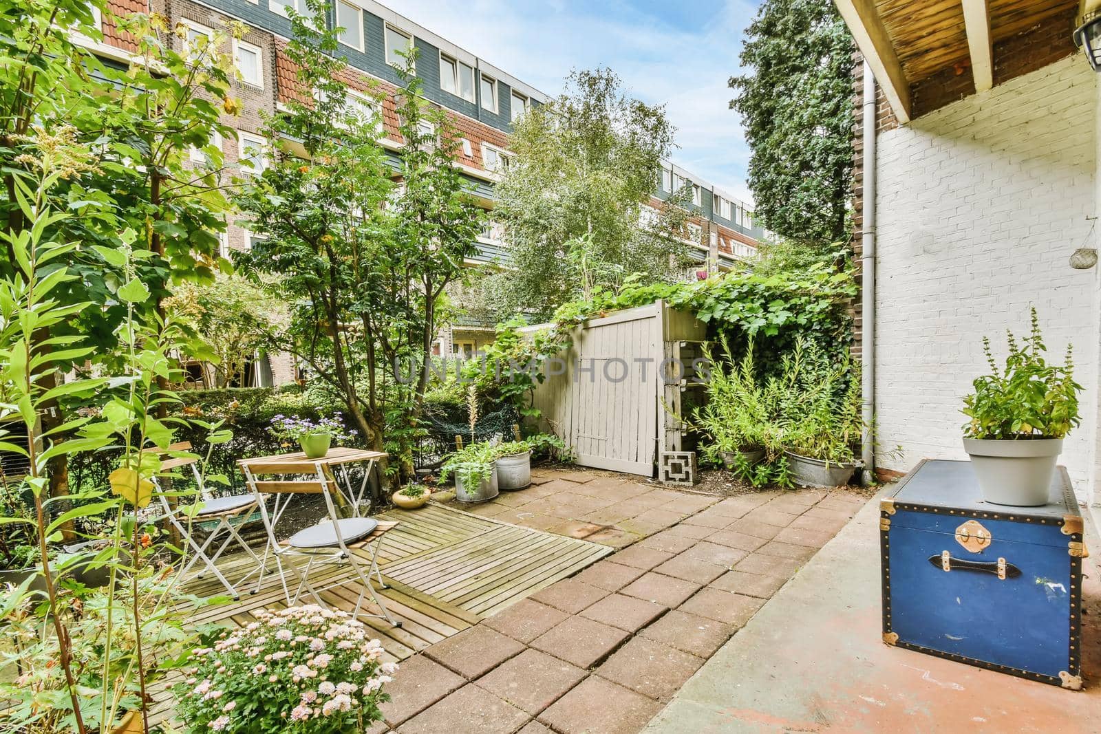 Green backyard of a house with wooden table and chairs and blue chest