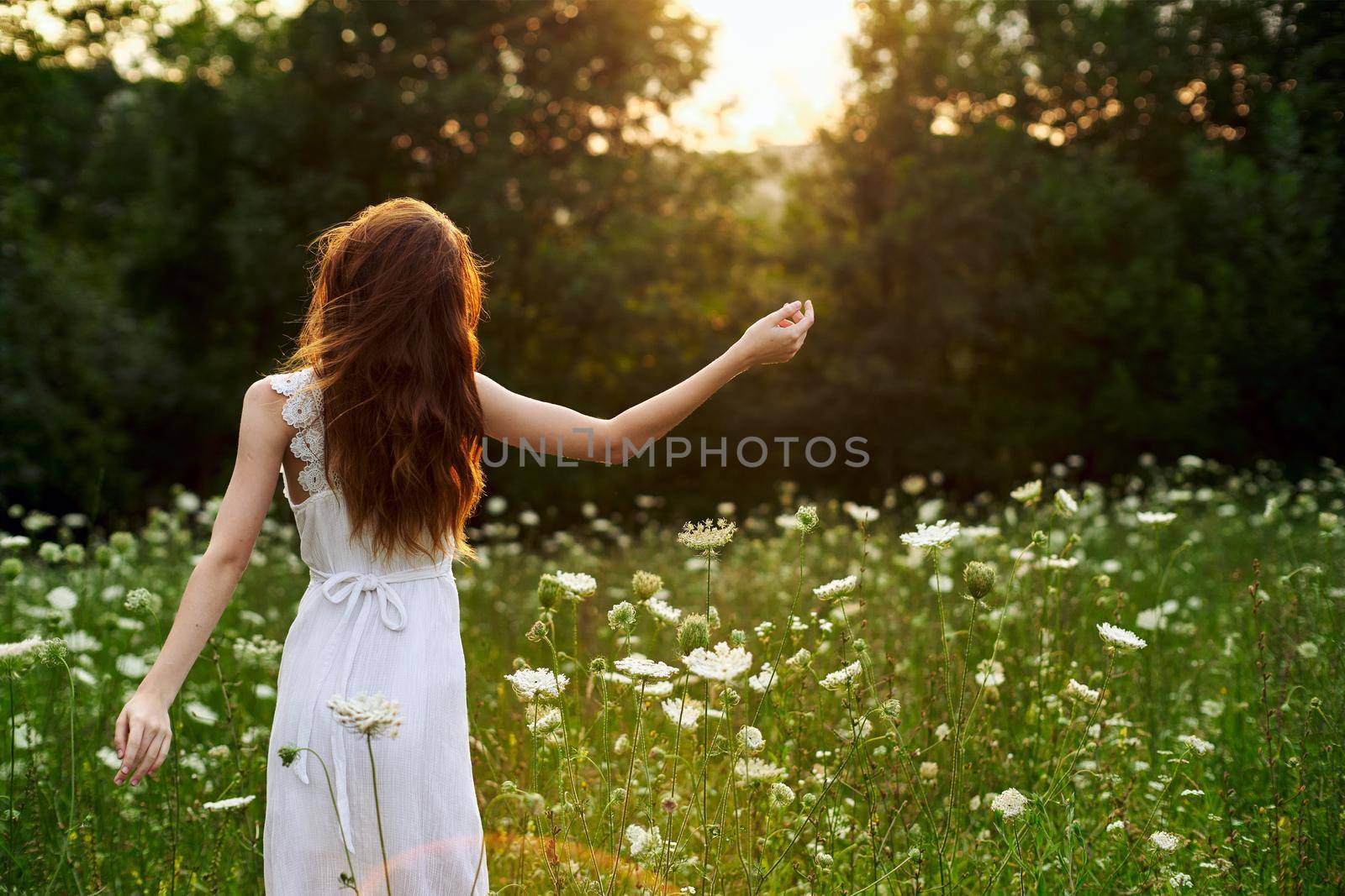 Woman in white dress in a field flowers sun nature freedom. High quality photo