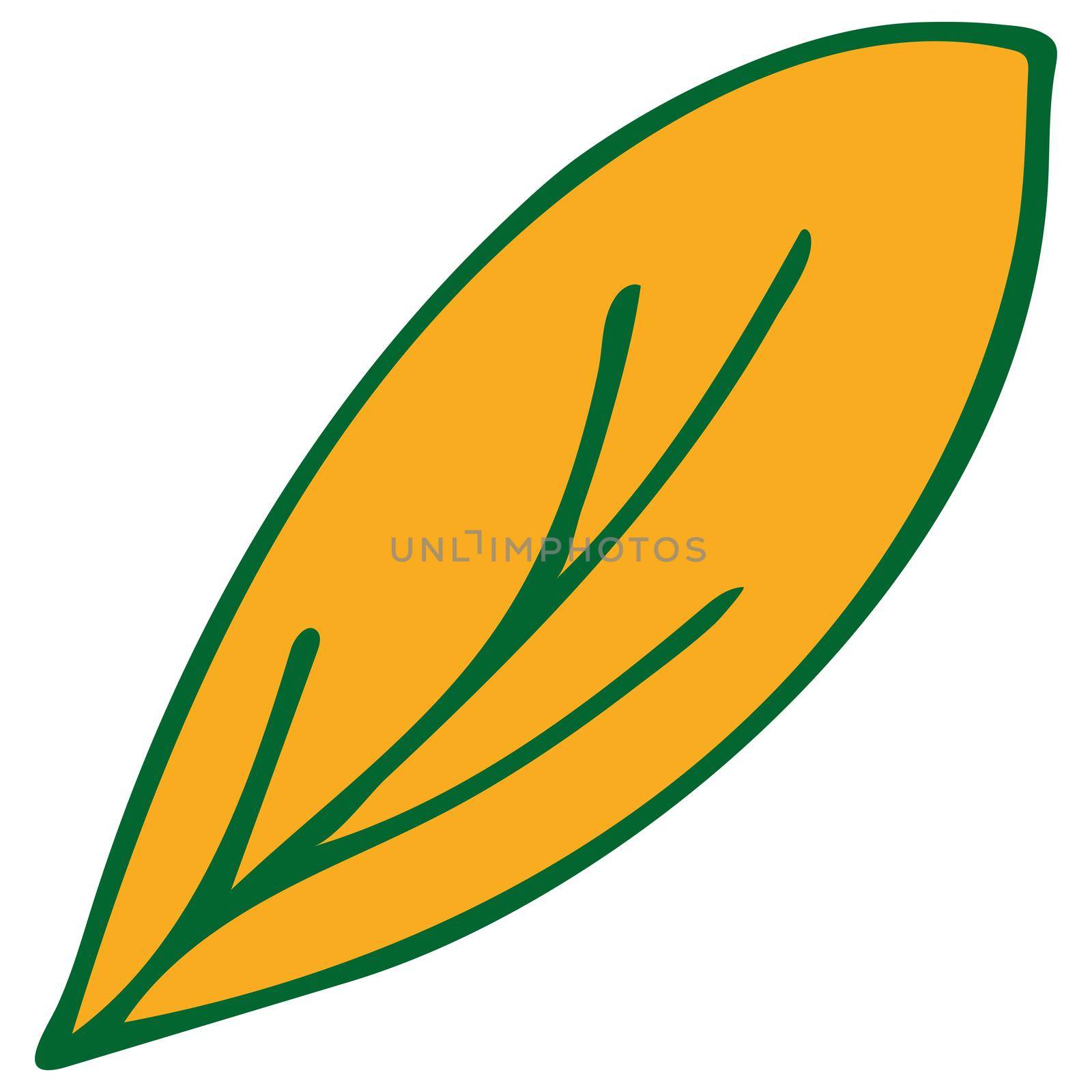 Colorful Doodle Leaf Isolated on White Background. Hand Drawn Leaf Illustration.