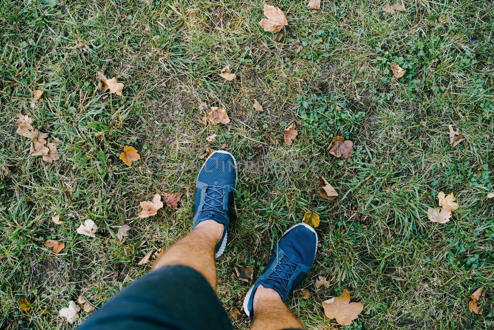 Male legs in sneakers and shorts on the grass. Close-up. High quality photo