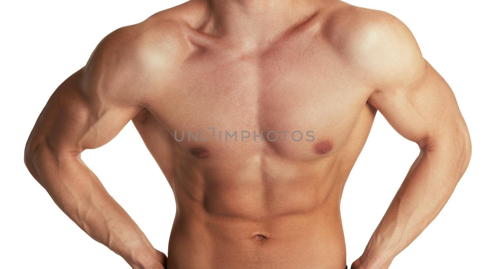 Muscular torso of bodybuilder by Novic