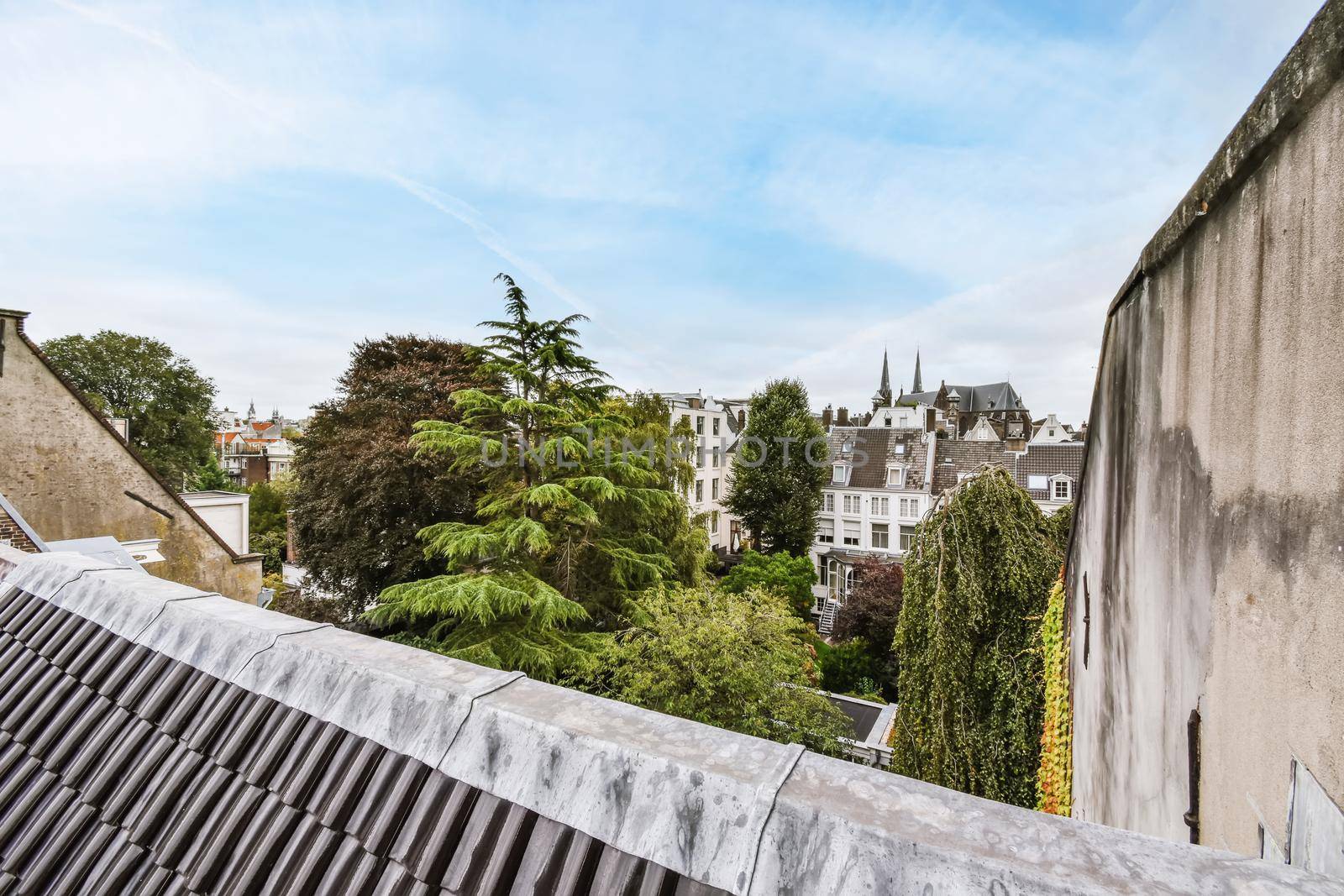 Beautiful top view of the roof of houses and trees