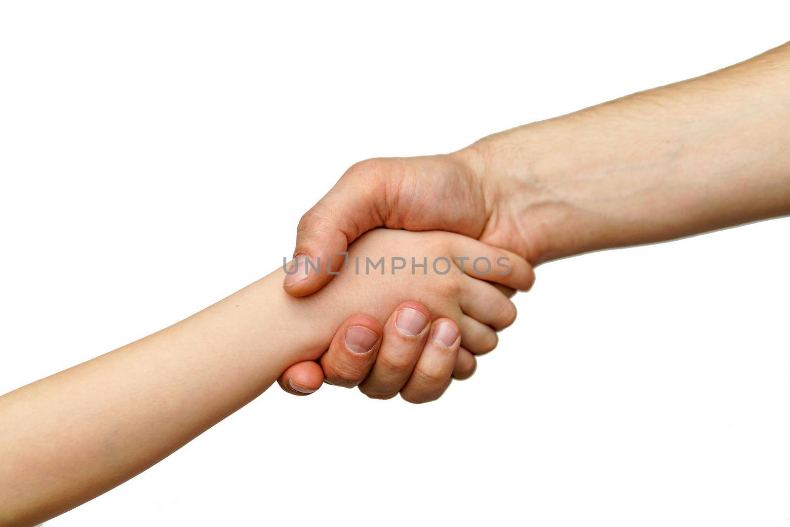 Hands shake each other against a white background isolated child and adult