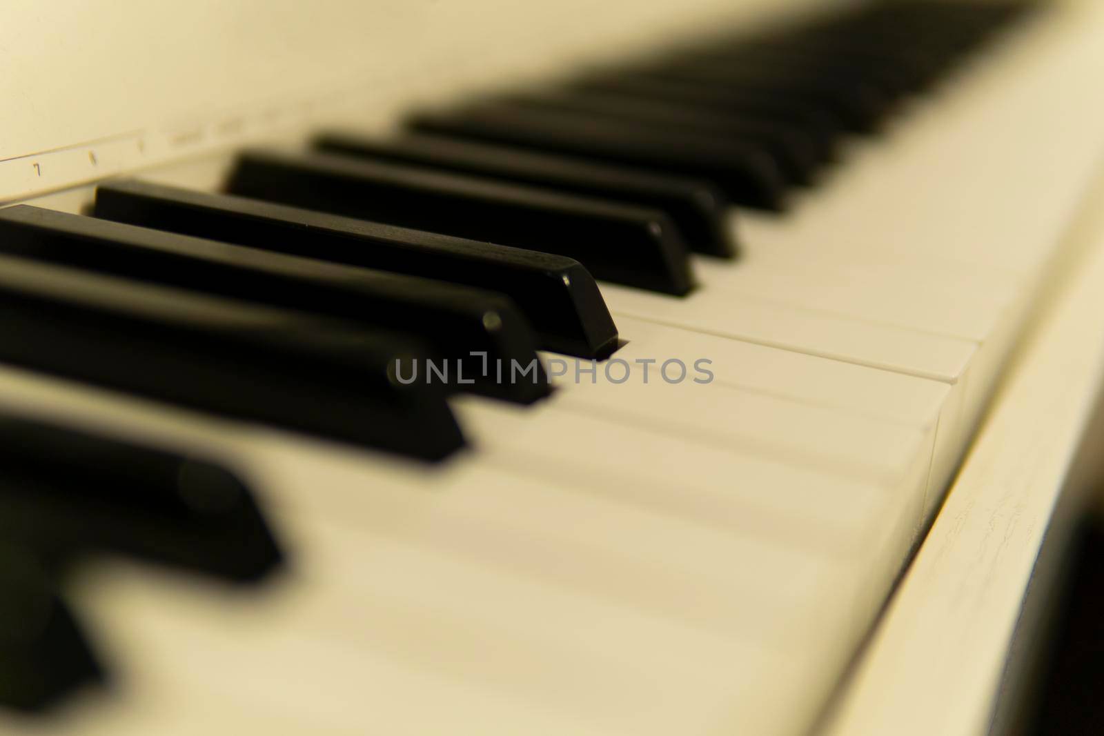 Piano, keyboard, for designers on the background of music notebooks by 89167702191