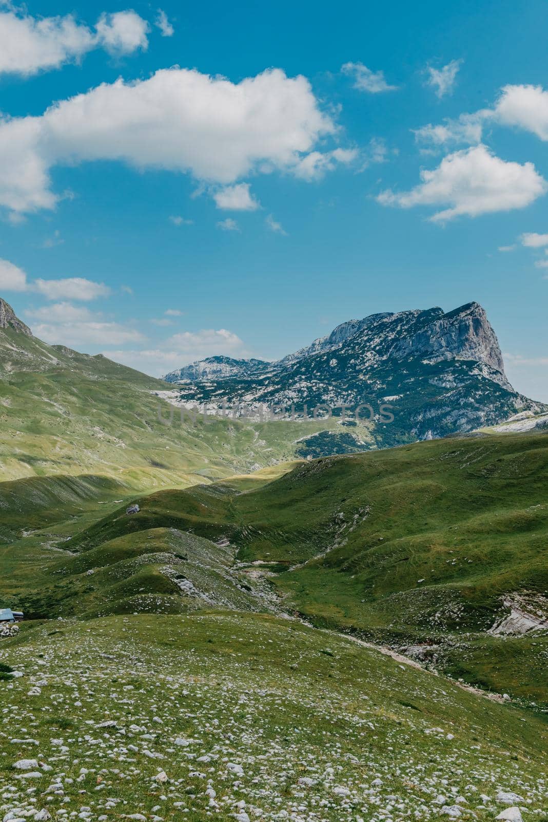 Mountain valley during sunrise. Natural summer landscape. Mountain peak green nature scenery. trail on green hill landscape