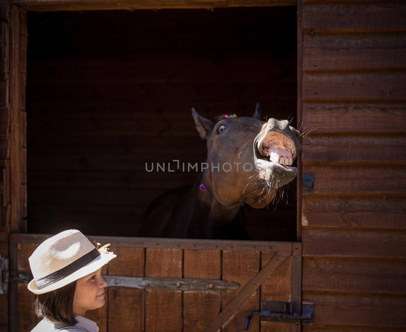 Charming young girl in vintage clothes standing with her brown horse sticking out head of the barn the horse happy seeing its human friend. Friendship concept.