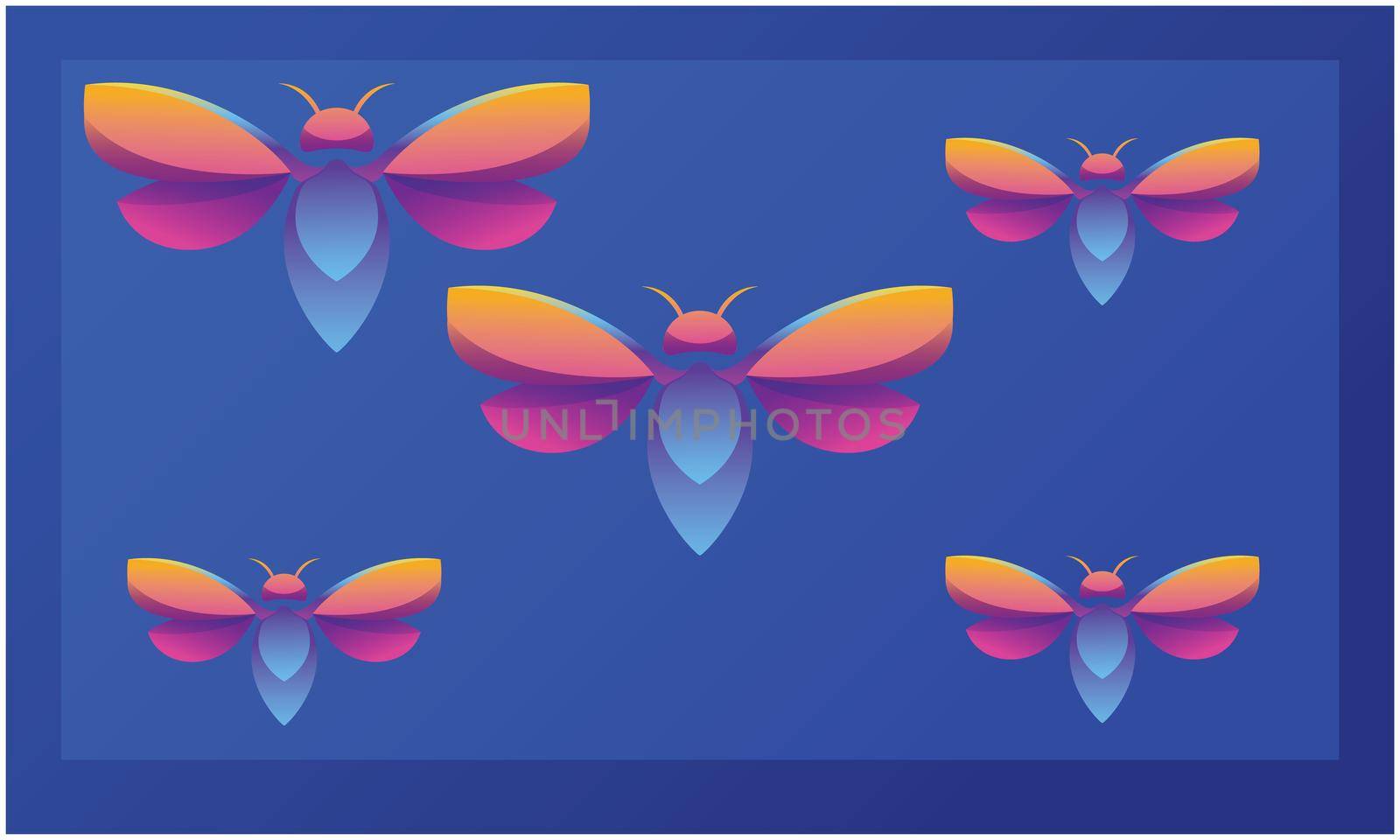 different colorful butterfly on abstract dark background