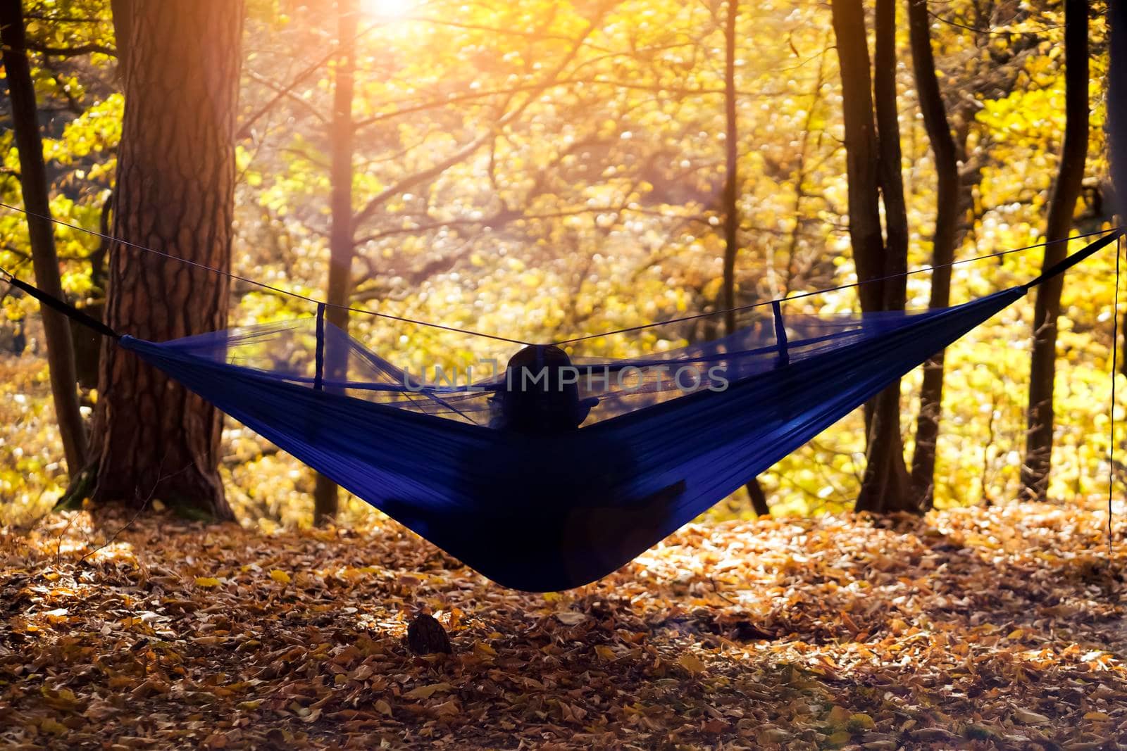 A person enjoys the autumn scenery and golden foliage in the trees while sitting in a hammock at sunset in an idyllic meditative mood.