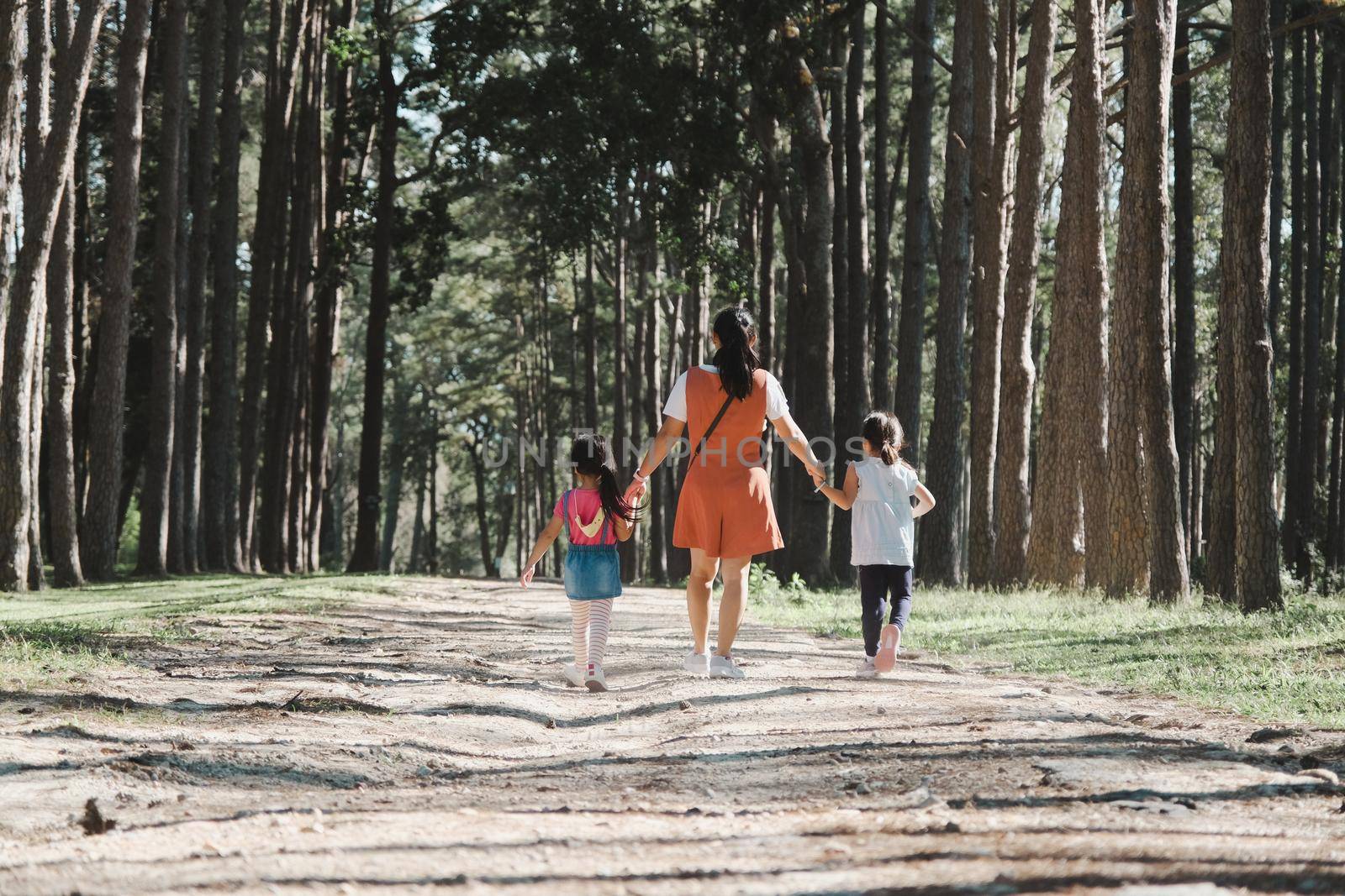 Mother and two daughters holding hands and take a walk in the pine forest on a spring day. by TEERASAK