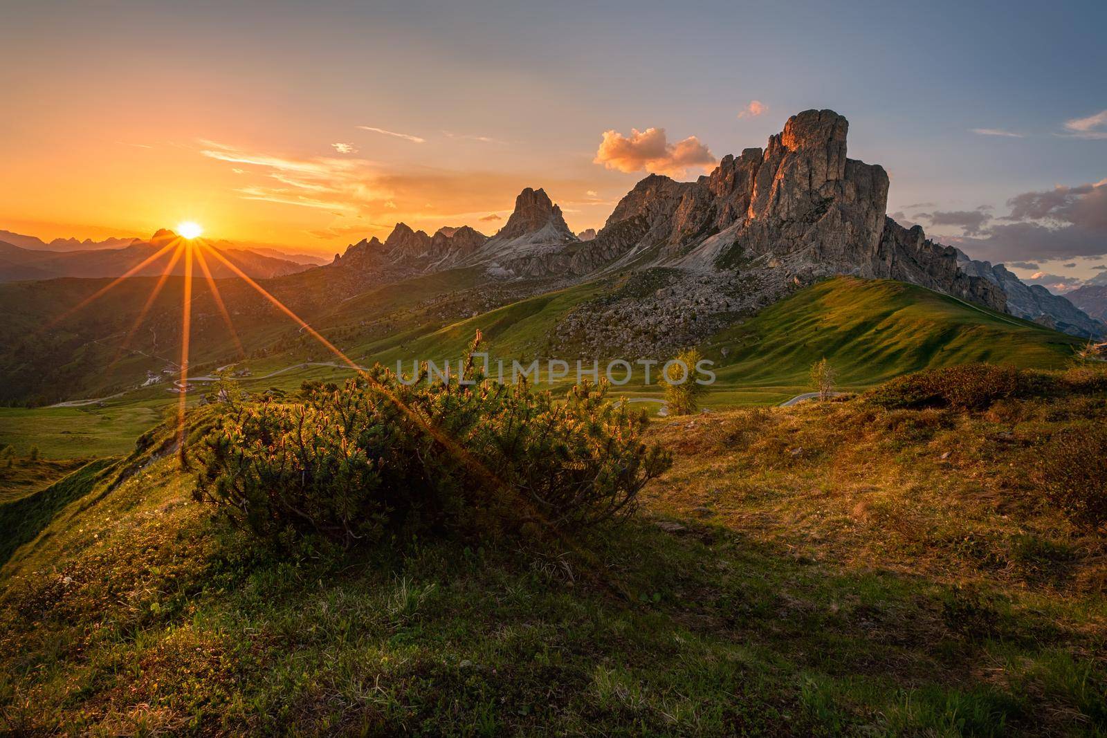 sunset in summer on Passo di Giau with flowers on foreground, Dolomites, Italy by zhu_zhu