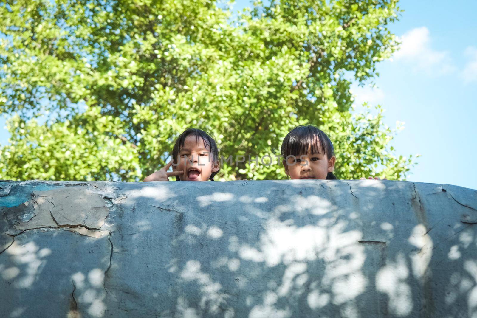 Smiling sibling girls poses for a photo in the playground on a warm summer day. Family spends time together on vacation. by TEERASAK
