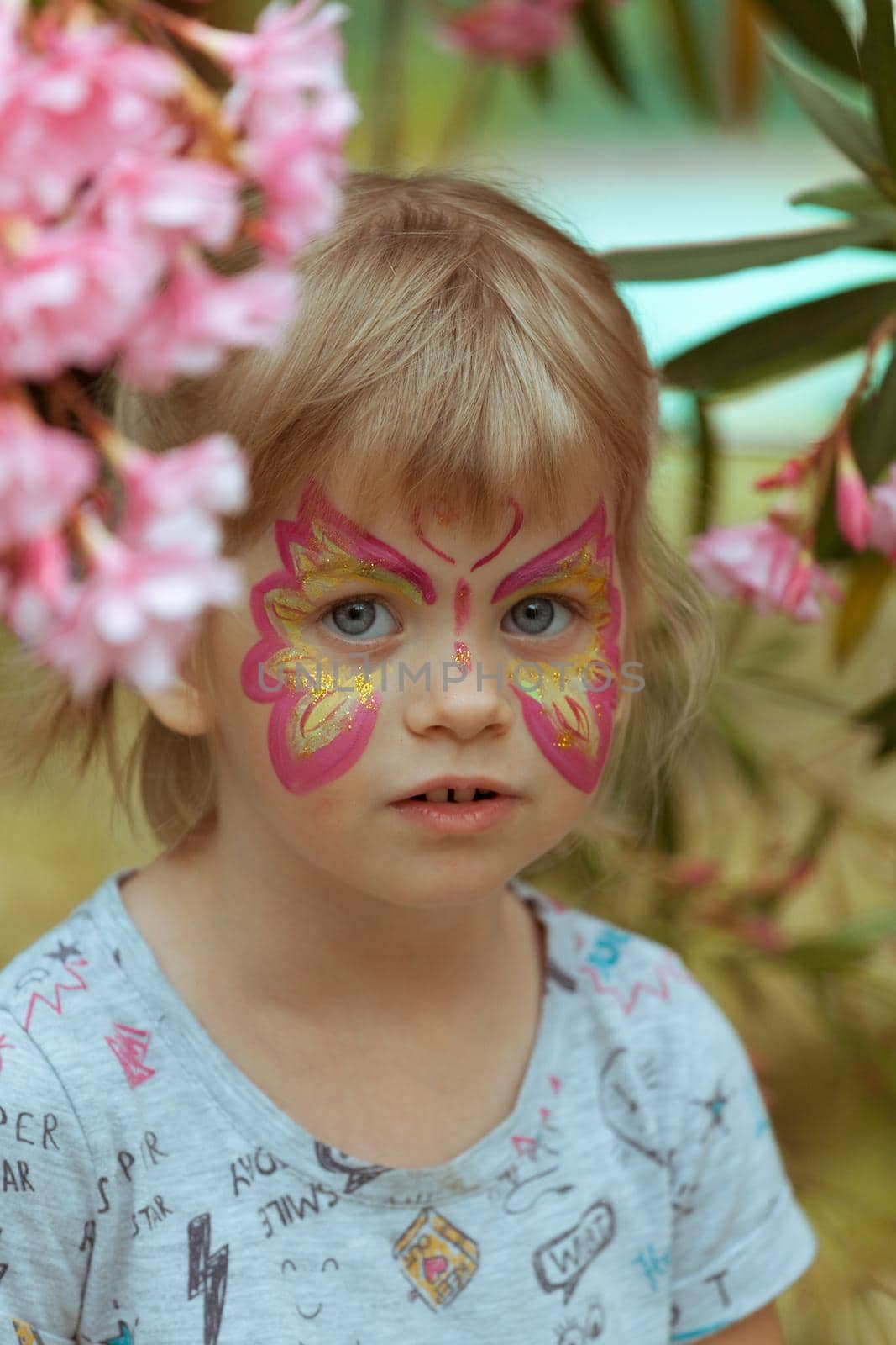Makeup on the face of the child. Butterfly for the holiday by gordiza
