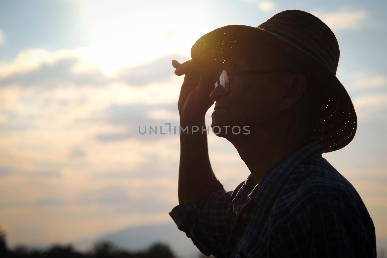 Silhouette of Senior farmer in a hat looking into the distance at sunset and making a heart shape on a golden sky background.