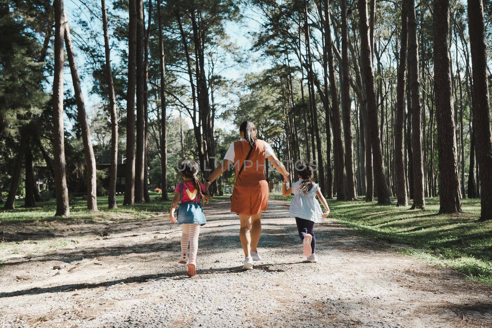Mother and two daughters holding hands and take a walk in the pine forest on a spring day. by TEERASAK