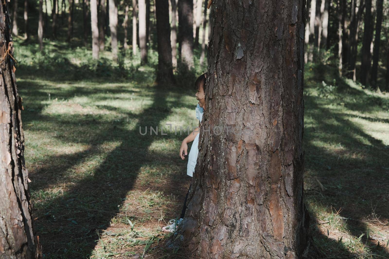 Active little girls running in the pine forest on a warm summer day. Happy girl smiles and laughs while spending time with her family in the park on vacation. by TEERASAK