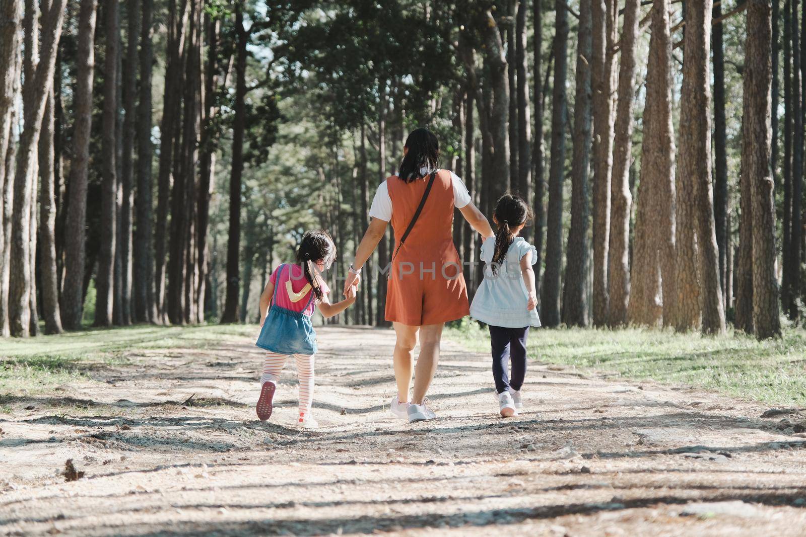 Mother and two daughters holding hands and take a walk in the pine forest on a spring day.