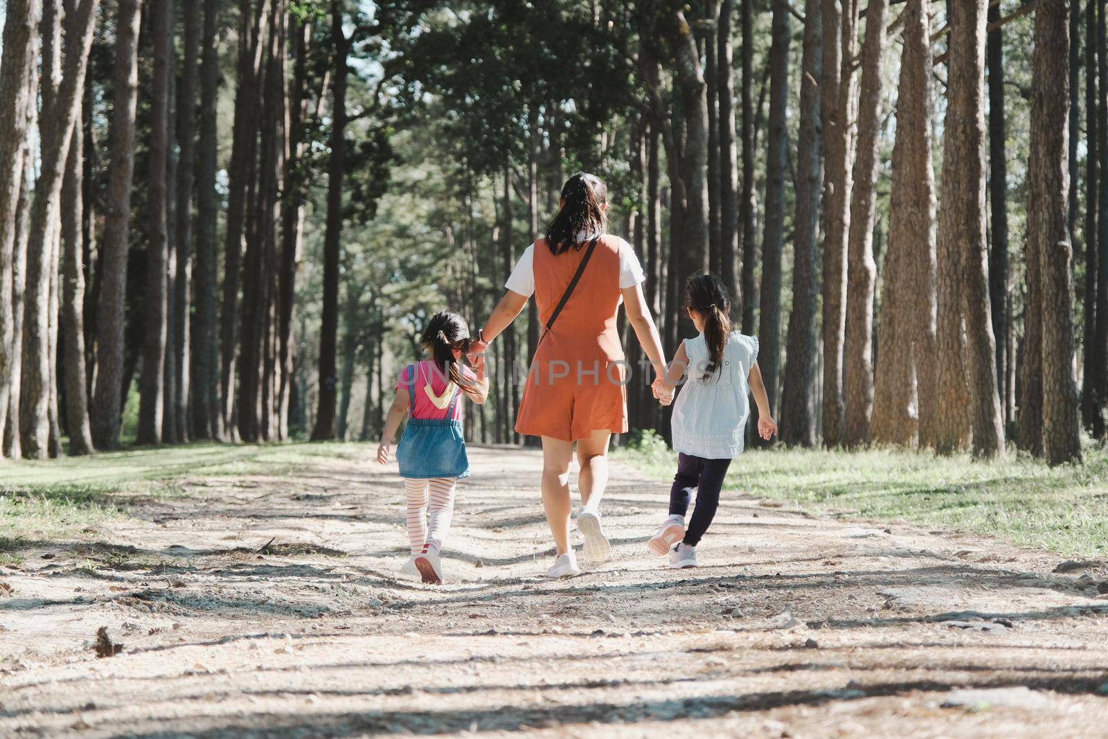 Mother and two daughters holding hands and take a walk in the pine forest on a spring day.