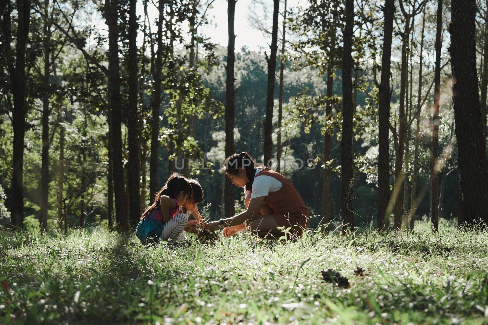 Mother and two daughters collecting firewood and kindling bonfire at camping place in forest. Family and children making campfire on nature woods. Family camping, spending time together on vacation. by TEERASAK