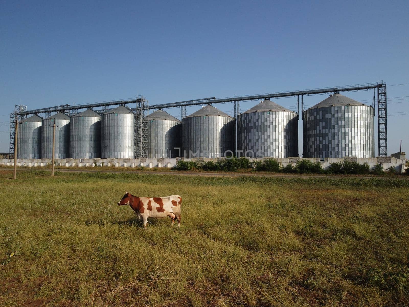 Grain elevator. Metal grain elevator in agricultural zone. Agriculture storage for harvest. Grain elevators on green nature background. Exterior of agricultural factory